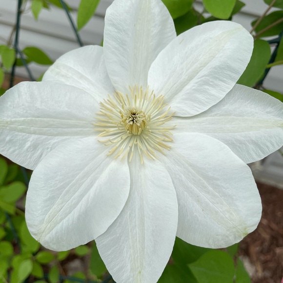 Meet your Posher, Heather - Picture 1 of 1